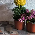 Da Nonnu Teulada