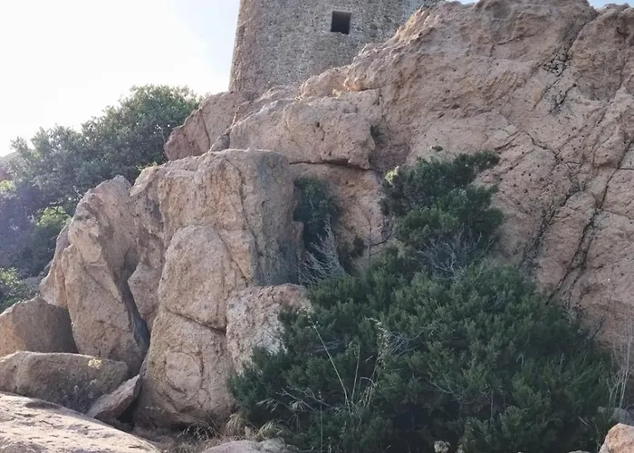 Da Nonnu 特乌拉达